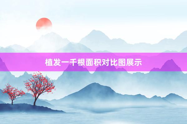 植发一千根面积对比图展示